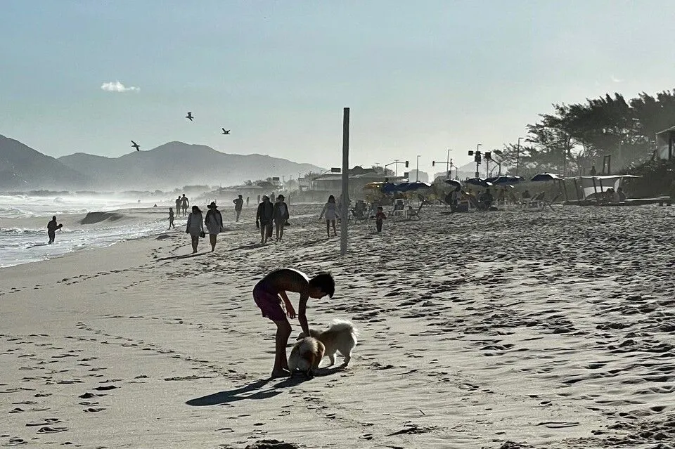 outdoor, céu, praia, térreo, cão, pessoa, água, costa, natureza, transporte, pessoas