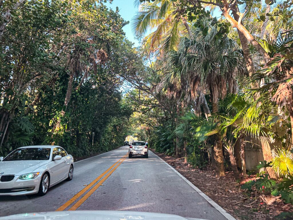 outdoor, veículo, Veículo terrestre, estrada, roda, carro, céu, Carro de família, rua, passagem, asfalto, Faixa, Placa de identificação veicular, Carro de tamanho médio, Superfície de estrada, porta-malas, pneu, árvore, planta, dirigir, estacionado