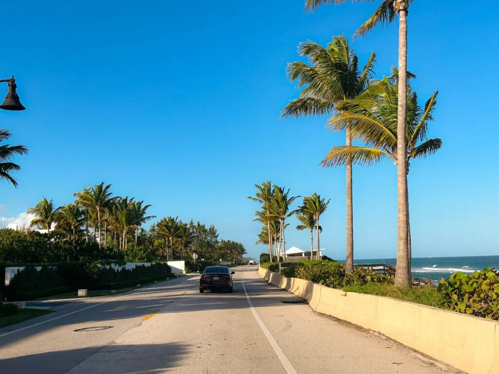 outdoor, céu, palmeira, estrada, Arecales, Babaçu, árvore, Tamareira, Palmeira-de-óleo, Superfície de estrada, palma, Pessegueiro, rua, Roystonea, Trópicos, planta, praia, térreo, férias