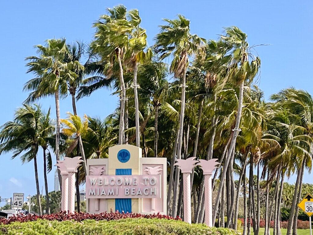 outdoor, planta, palmeira, árvore, céu, Arecales, palma, Tamareira, Babaçu, Pessegueiro, Palmeira-de-óleo, Roystonea, Palm do deserto, Borassus flabellifer, grama, paisagem