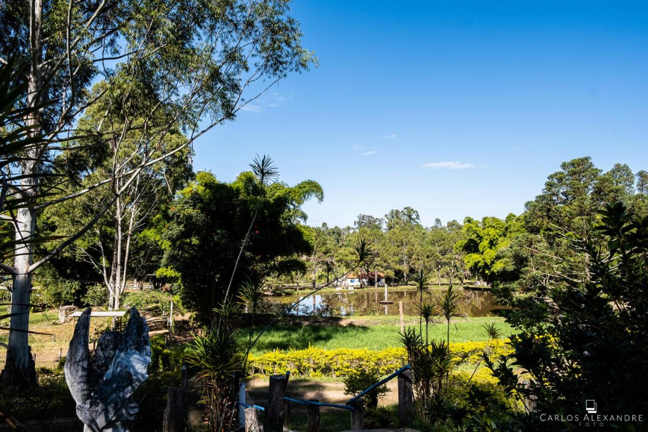 outdoor, céu, árvore, planta, grama, natureza, jardim, nuvem, paisagem, parque, conífera, campo