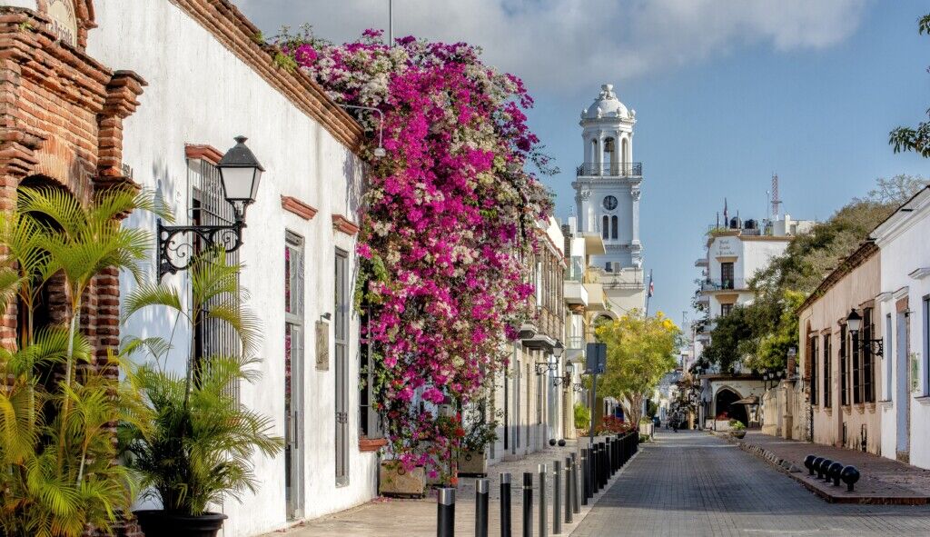 outdoor, céu, planta, nuvem, árvore, flor, cidade, vaso de flores, Bairro, construção, rua, igreja