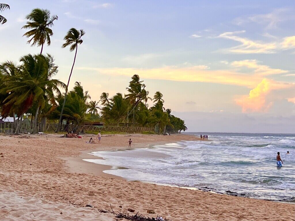 outdoor, natureza, nuvem, céu, costa, praia, árvore, Trópicos, palmeira, água, Caribe, Arecales, Terrenos costeiros e oceânicos, oceano, térreo, Babaçu, cardume, pôr-do-sol, areia, férias