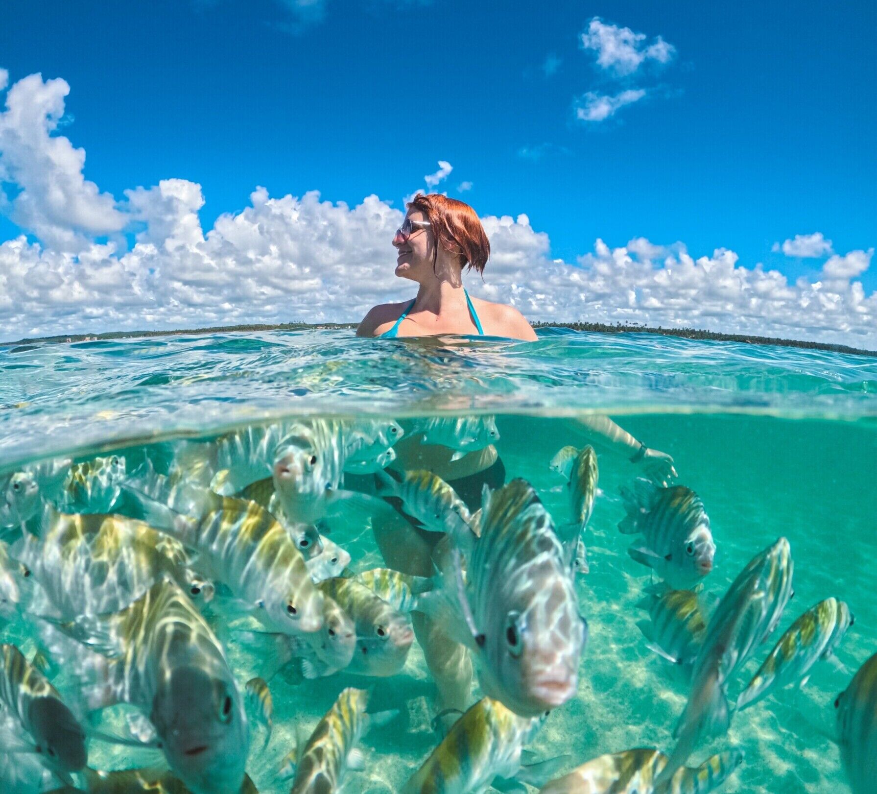 Descubra quais são os três melhores passeios de piscinas naturais em Alagoas