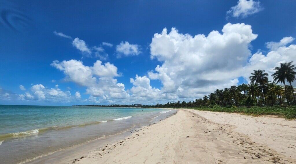 Tudo sobre São Miguel dos Milagres