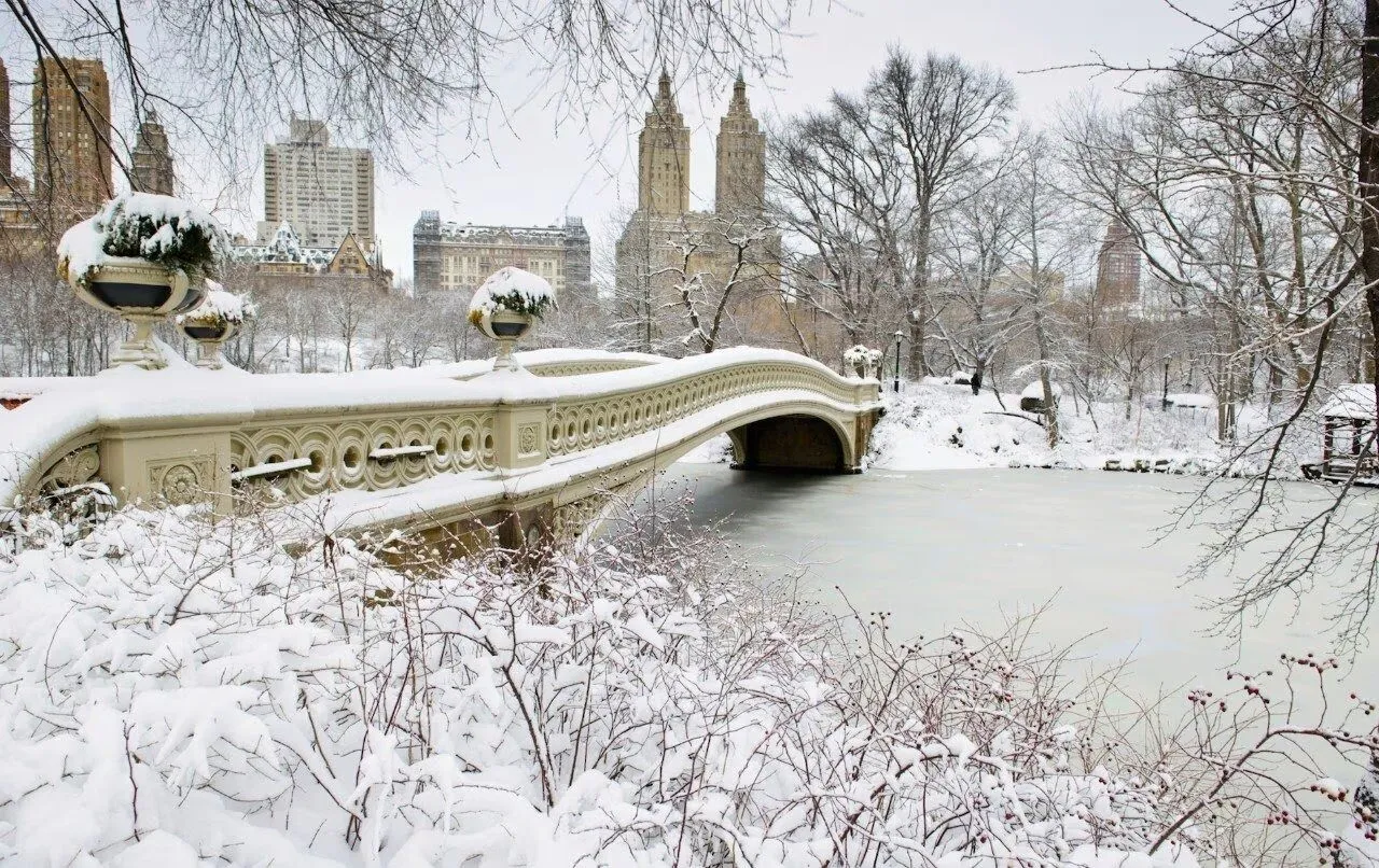 outdoor, neve, céu, árvore, construção, inverno, congelamento, nevasca, Tempestade de inverno, precipitação, ponte, cidade, natureza