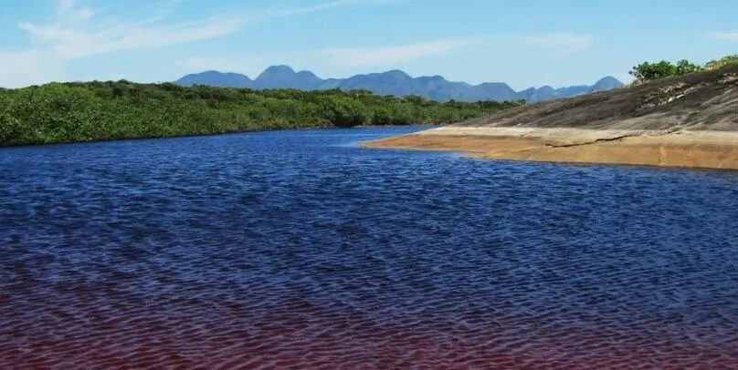 Descubra as maravilhas naturais do Espírito Santo - 4 parques imperdíveis