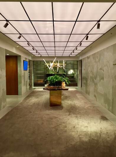 teto, planta doméstica, vaso de flores, interno, parede, piso, construção, vaso, planta, térreo, cômodo, arte