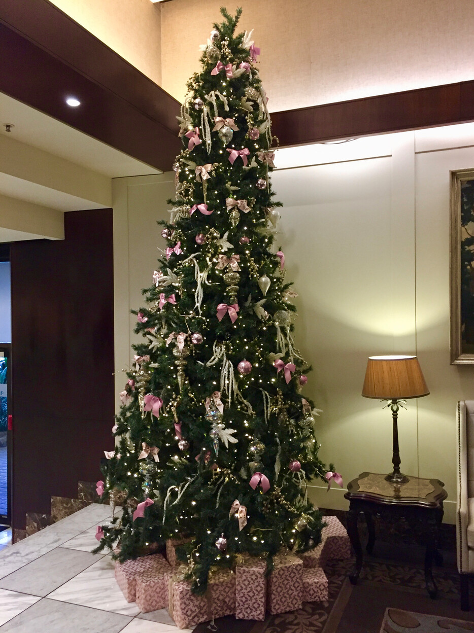 Screenshot 2017-01-25 23.13.37 árvore de Natal, interno, design de interiores, árvore, decoração natalina, parede, Ornamento festivo, Enfeite de Natal, Véspera de Natal, picea, Abeto azul, Luzes de Natal, Abeto balsâmico, Pinho do Oregon, abeto, Abies magnifica, natal, piso, teto, planta