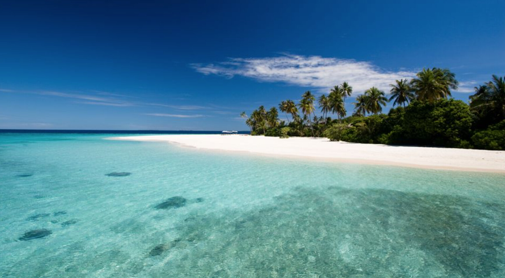 Screenshot 2017-02-09 23.22.48 outdoor, árvore, céu, água, Trópicos, aqua, nuvem, Caribe, natureza, Corpo d’água, Azure, ilha, Cayo, Terrenos costeiros e oceânicos, praia, cardume, azul, paisagem, oceano, costa, férias