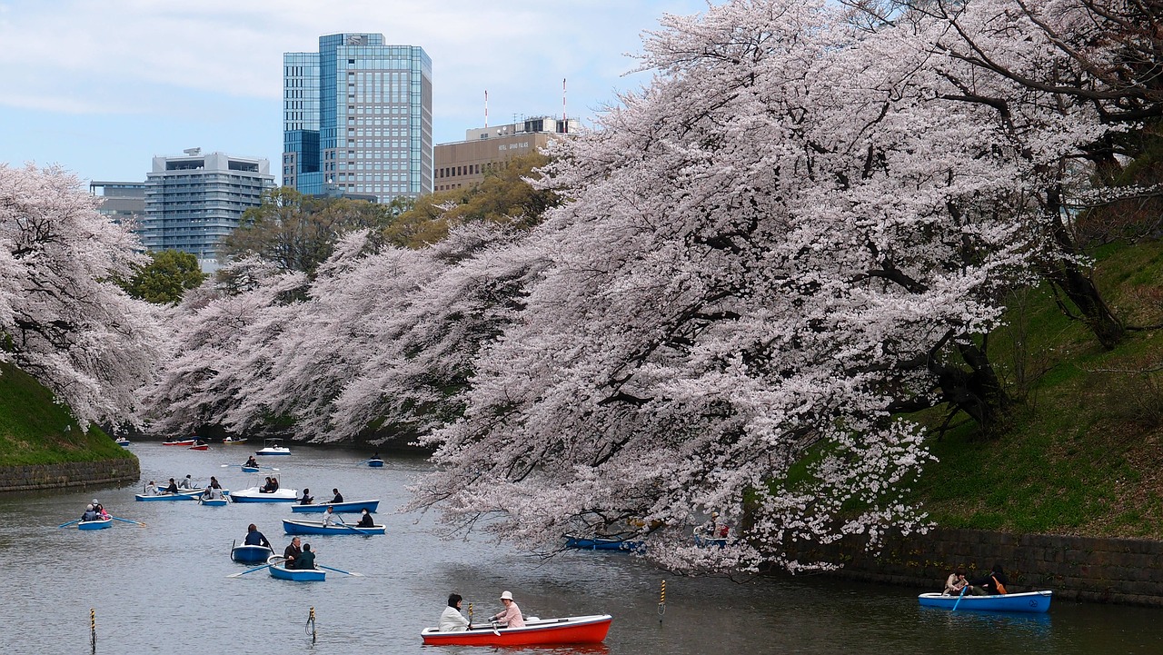 boat-1835081_1280 outdoor, flor, árvore, céu, lago, embarcação, água, flor de cerejeira, primavera, sakura, rio, barco
