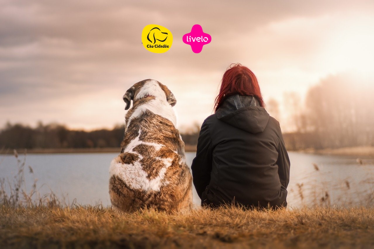 Que tal treinar o seu cão e ainda ganhar 10 pontos Livelo por real gasto na Cão Cidadão?