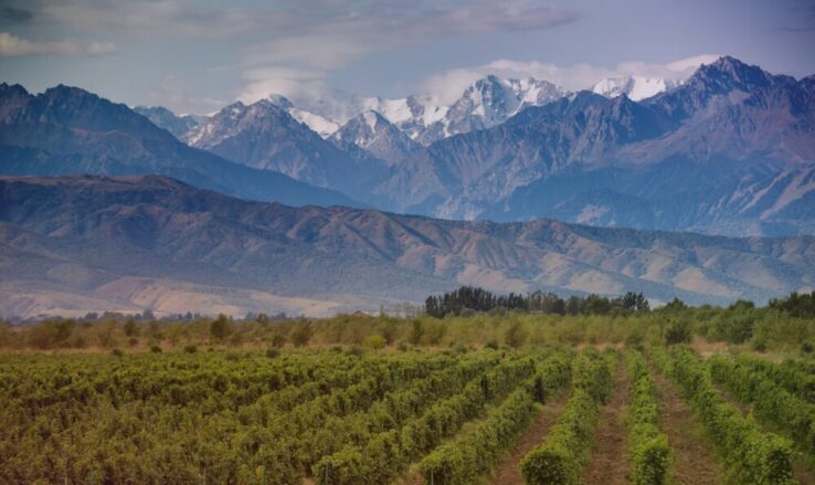 Spa do Vinho em Mendoza! Wyndham aposta em novo hotel de luxo em vinícola