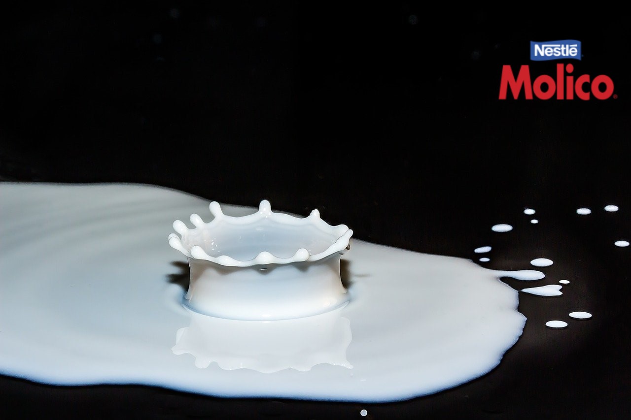 Promoção Molico oferece 100% de cashback em produtos selecionados