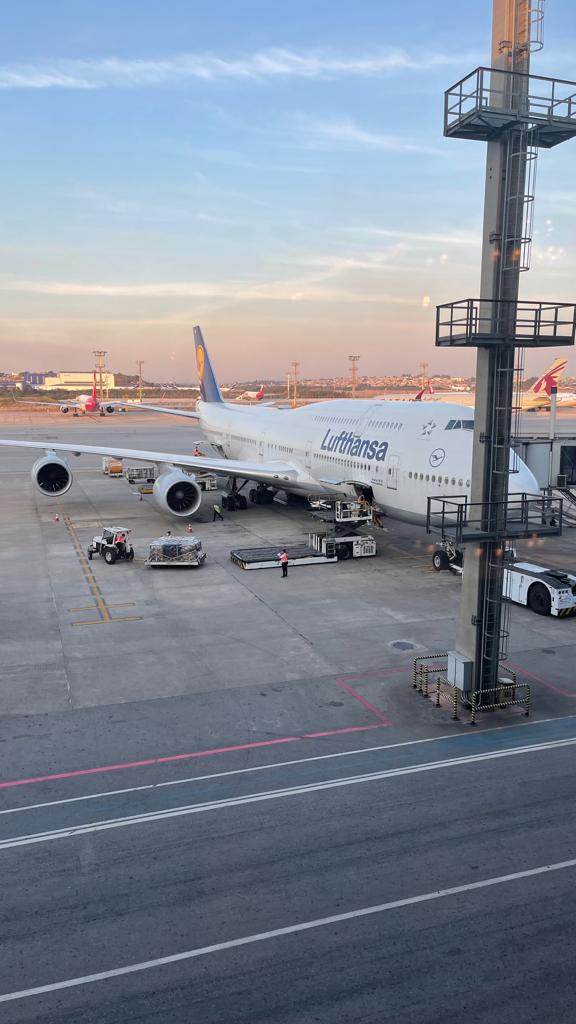 Compartilhando emissões: Viagem para Dubai em classe executiva com a Lufthansa e Emirates