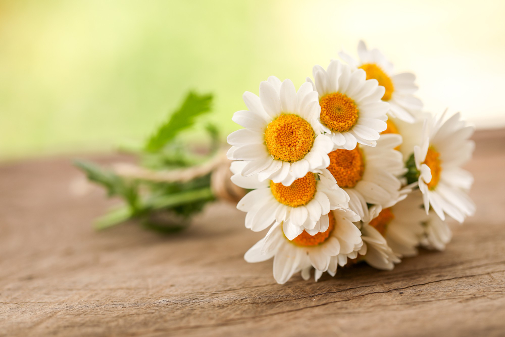 Giuliana Flores oferece 10 pontos Livelo por real gasto em compras online