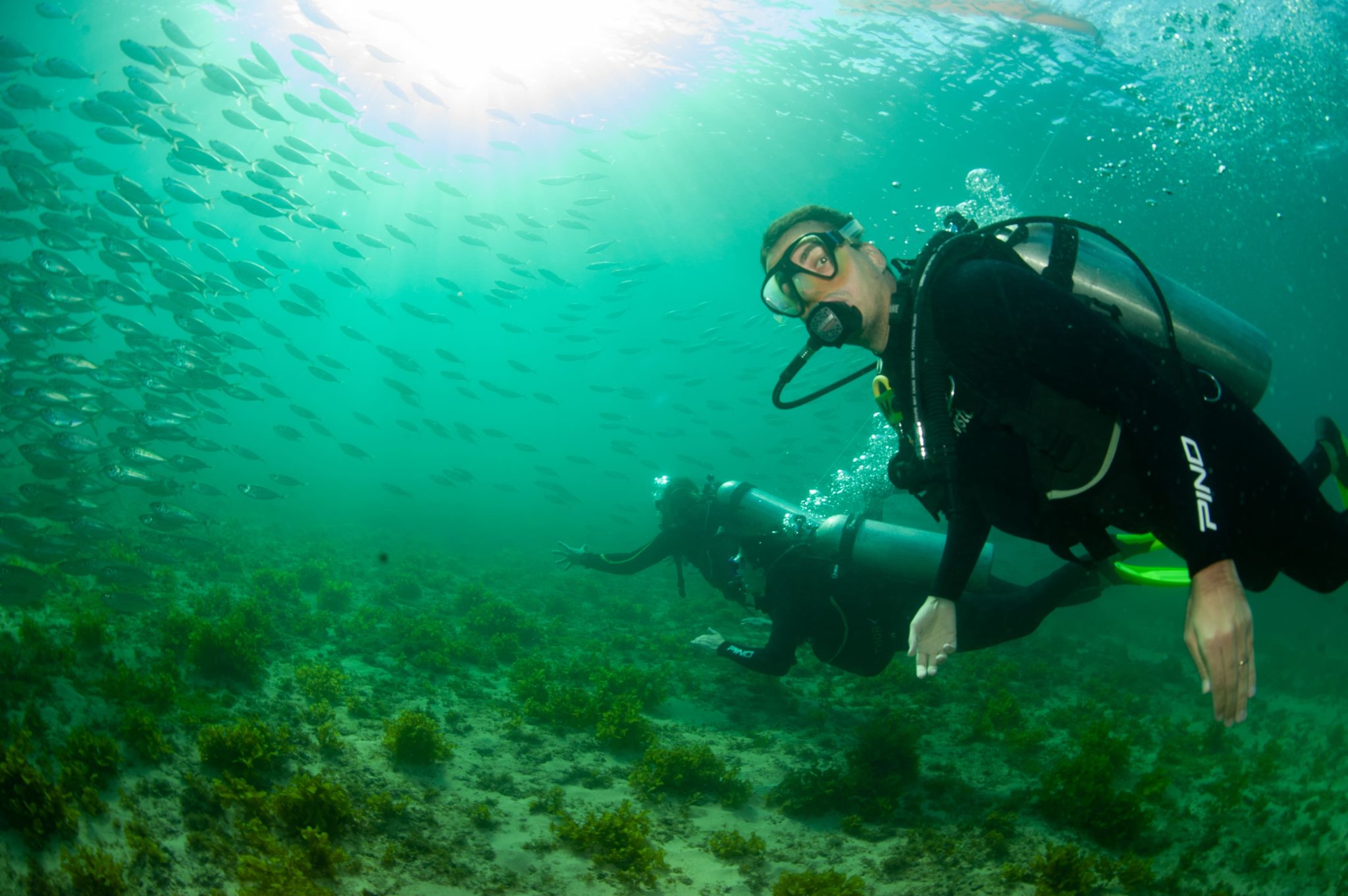 Rodrigo Biajoni - Pontos pra Voar