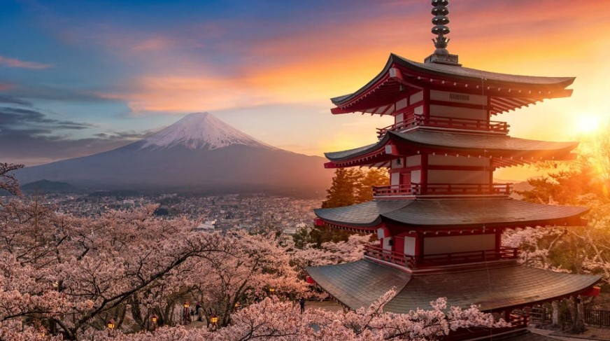 Japonês do Largo do Rato - Avaliações de viajantes - Yabai! - Tripadvisor