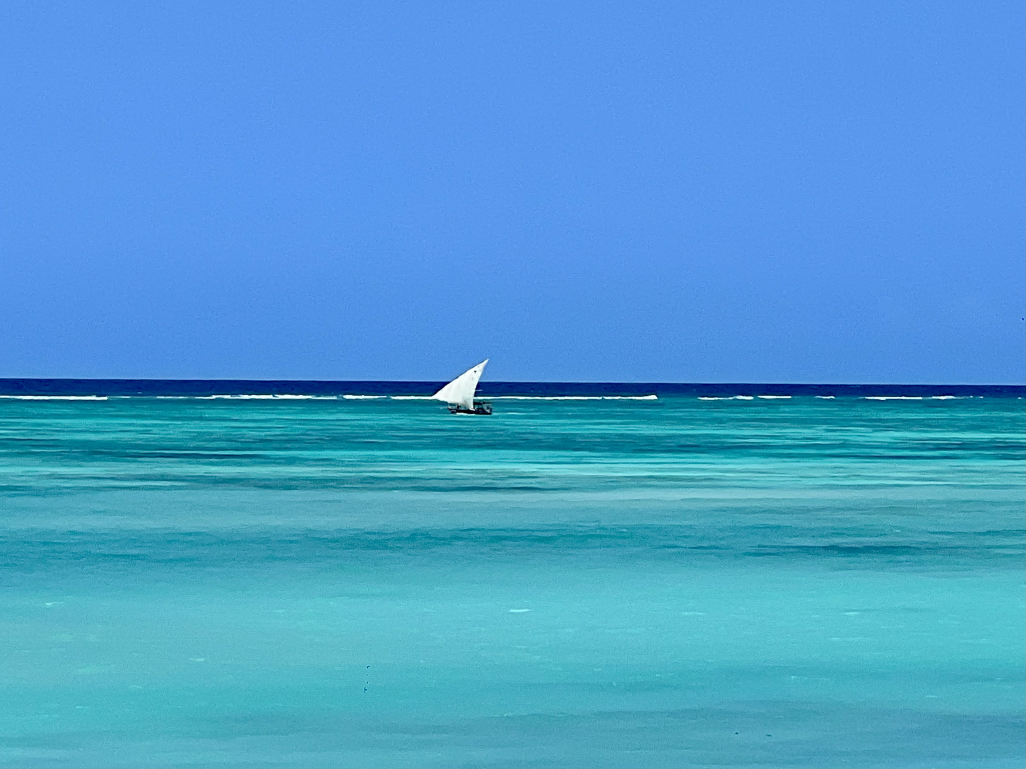 Guia de Zanzibar: Uma ilha paradisíaca no Oceano Índico
