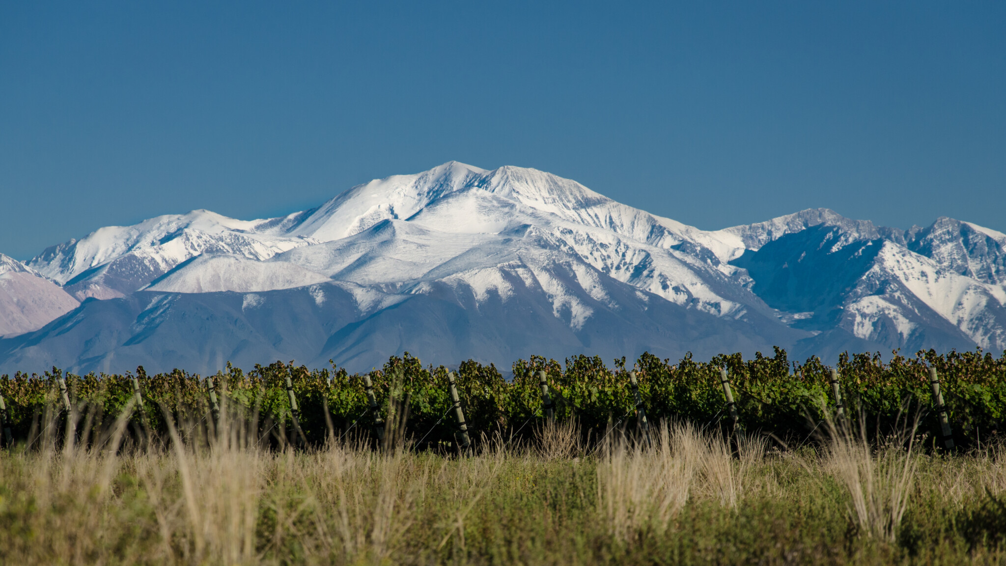 outdoor, céu, paisagem, planta, natureza, Cordilheira, Topo, Maciço, Alpes, grama, crista, montanha, neve, coberto, campo