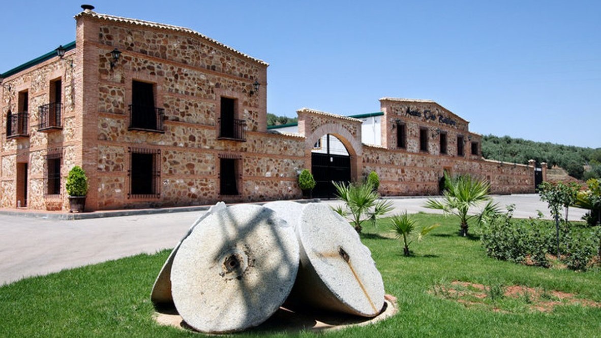 Oleoturismo na Oro Bailén - Uma visita guiada que vale a pena