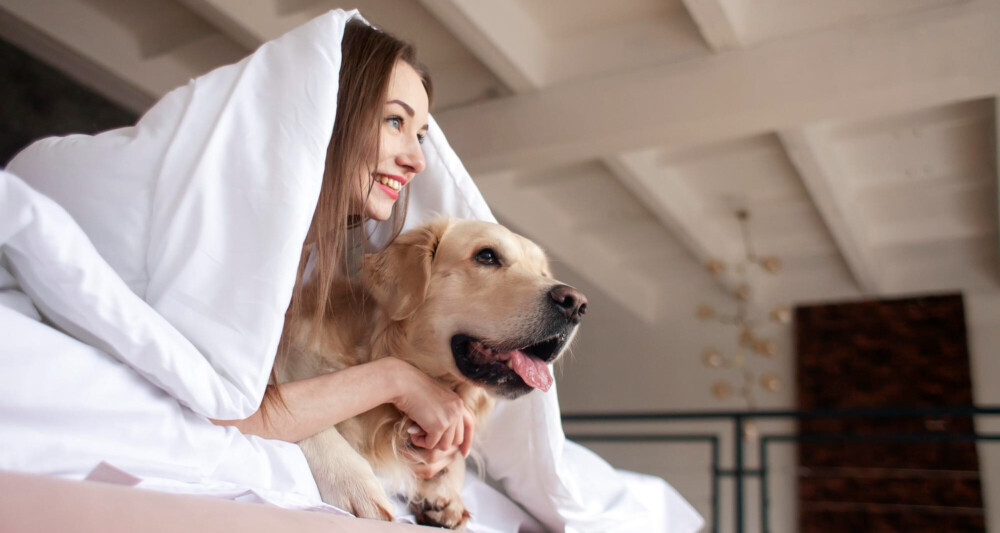 hotel-pets-cachorro-viagem-pet Reserve hotéis pet-friendly em São Paulo a partir de R$ 179