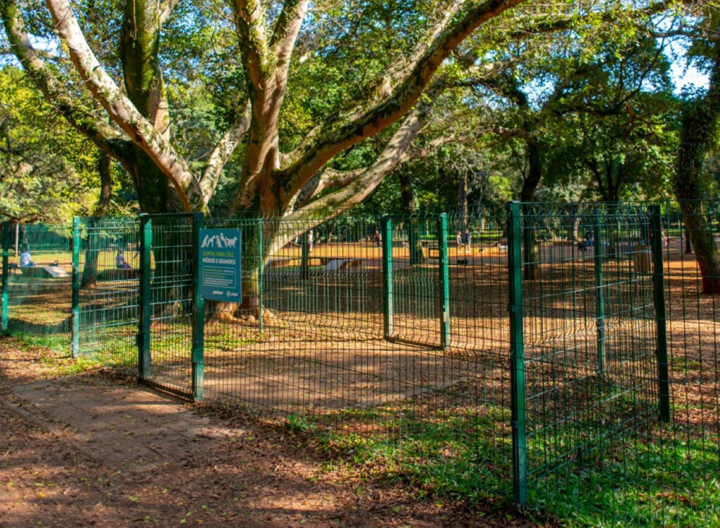 outdoor, cerca, grama, playground, planta, térreo, árvore, parque