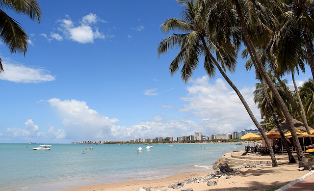 Alagoas ganha novos voos internacionais para o verão