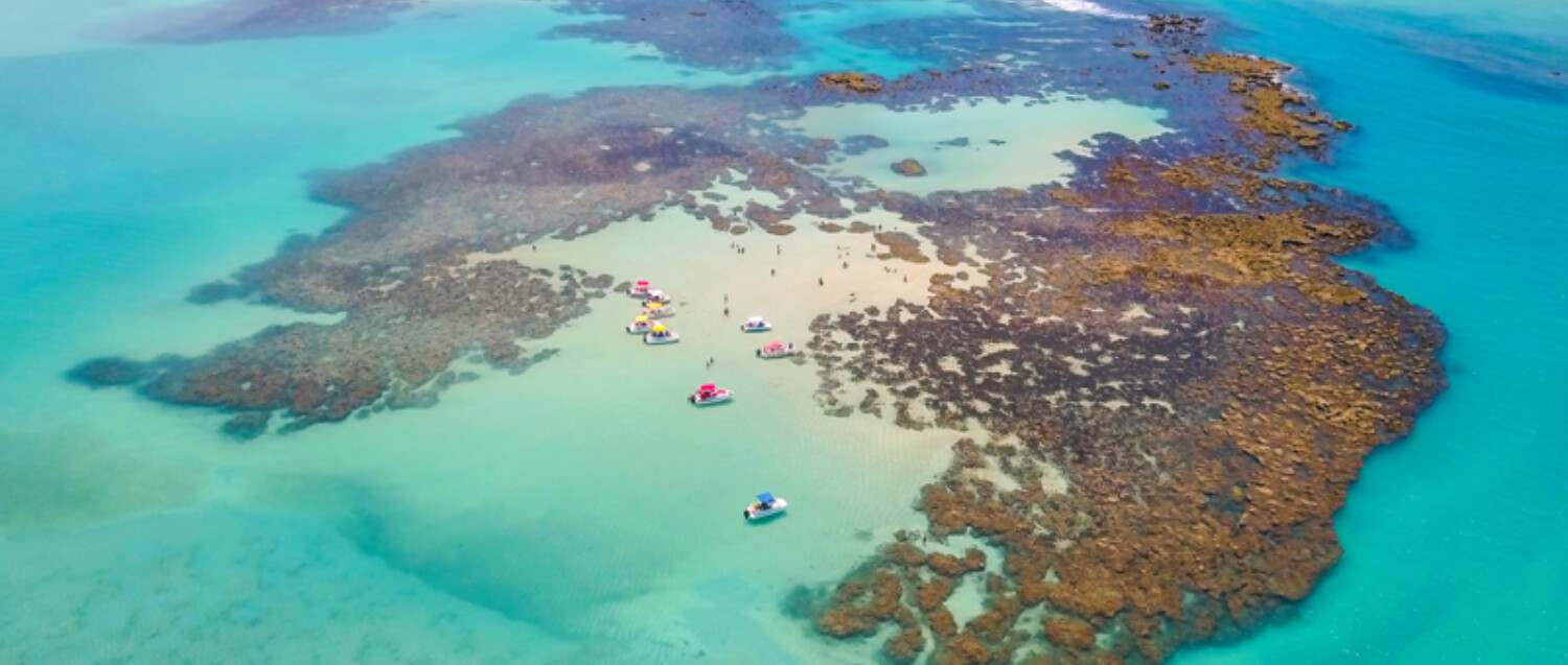 Maragogi e Embratur assinam acordo para regeneração de corais