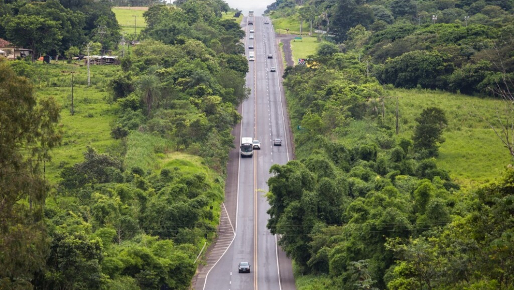 outdoor, árvore, estrada, via, passagem, cena, infraestrutura, planta, Autoestrada, Faixa, Superfície de estrada, rua, asfalto, grama, veículo, Piche, carro, pista, viagem, rodovia