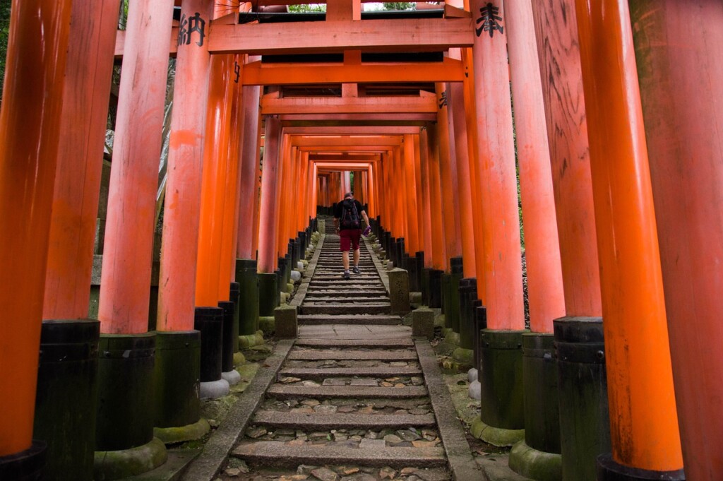 construção, Torii, local de adoração, Arquitetura japonesa, Arquitetura chinesa, outdoor, santuário, templo, vermelho, laranja, térreo