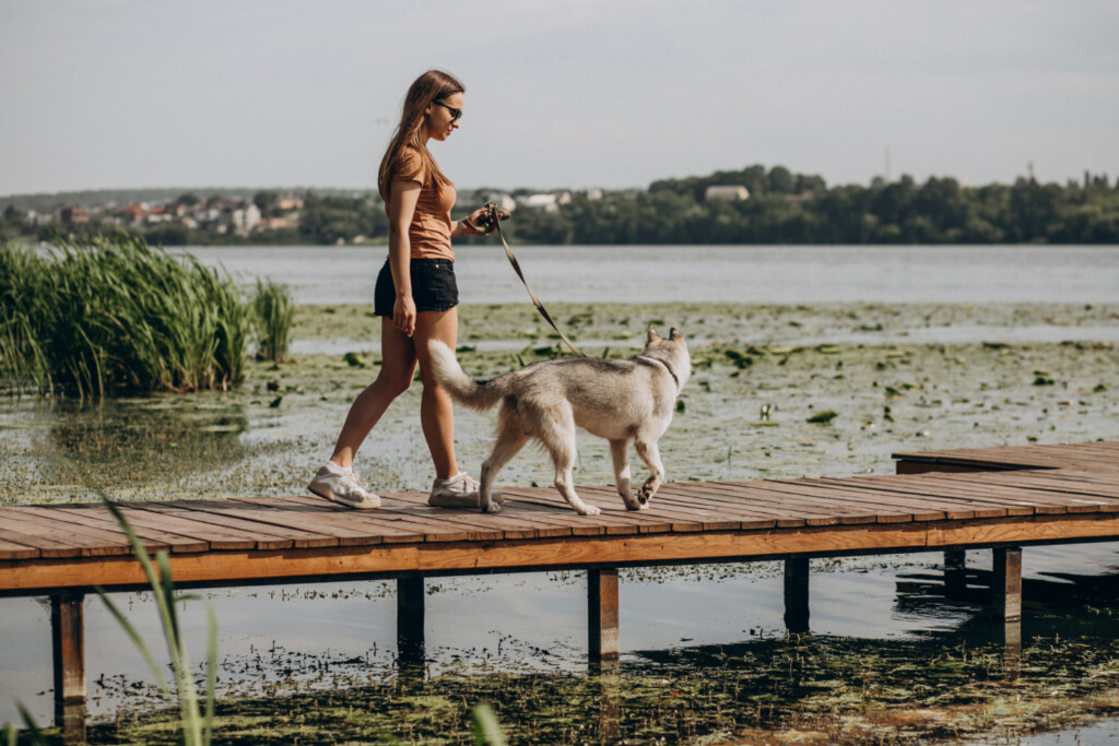 outdoor, céu, água, lago, mulher, cão, pessoa, praia, em pé, térreo