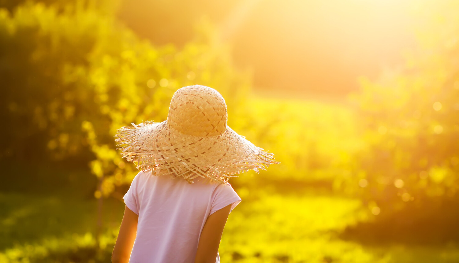 Estudo mostra os efeitos das mudanças climáticas no comportamento dos turistas