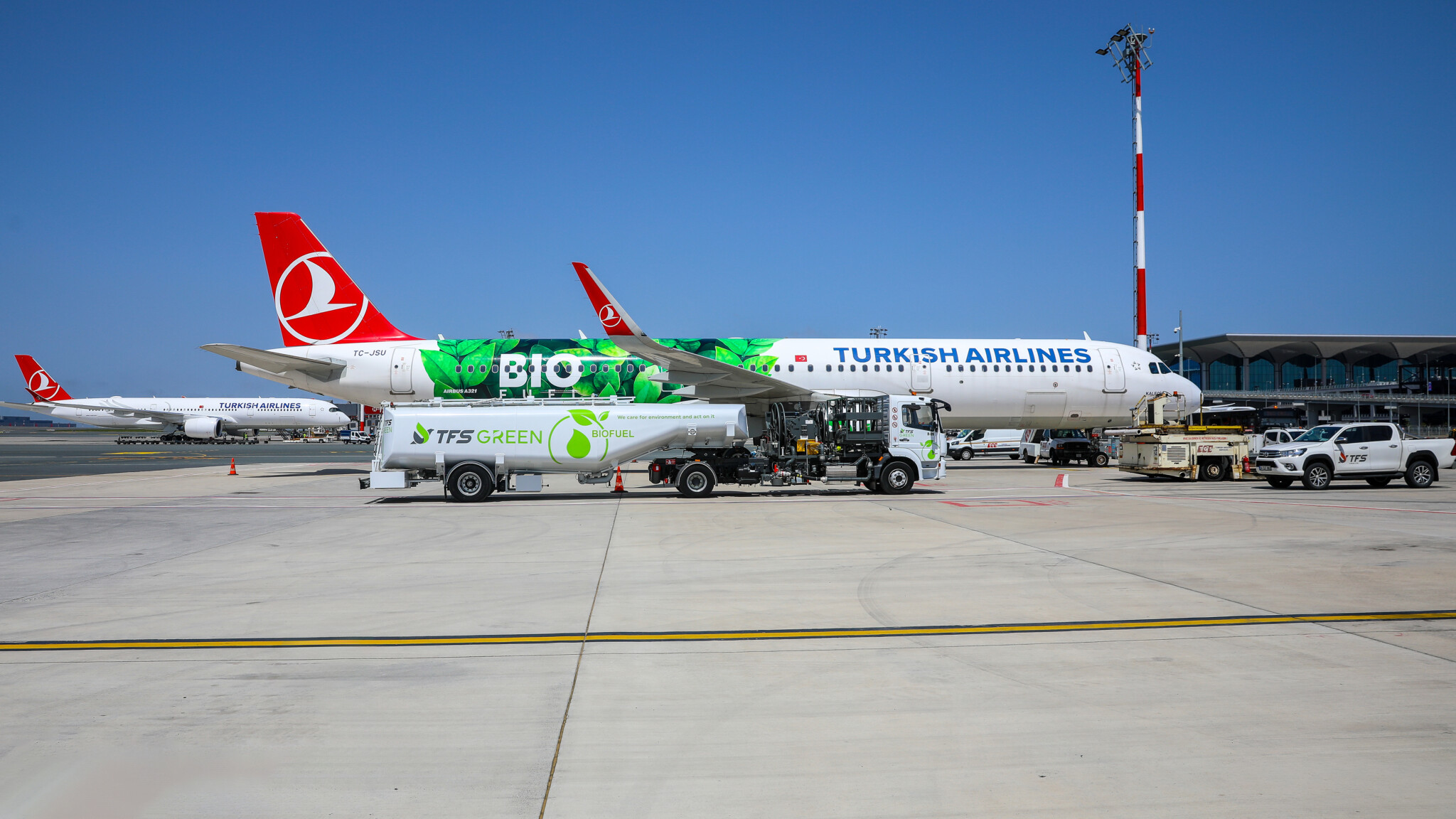 Turismo Sustentável: Como a Turkish Airlines se tornou referência mundial em sustentabilidade na aviação