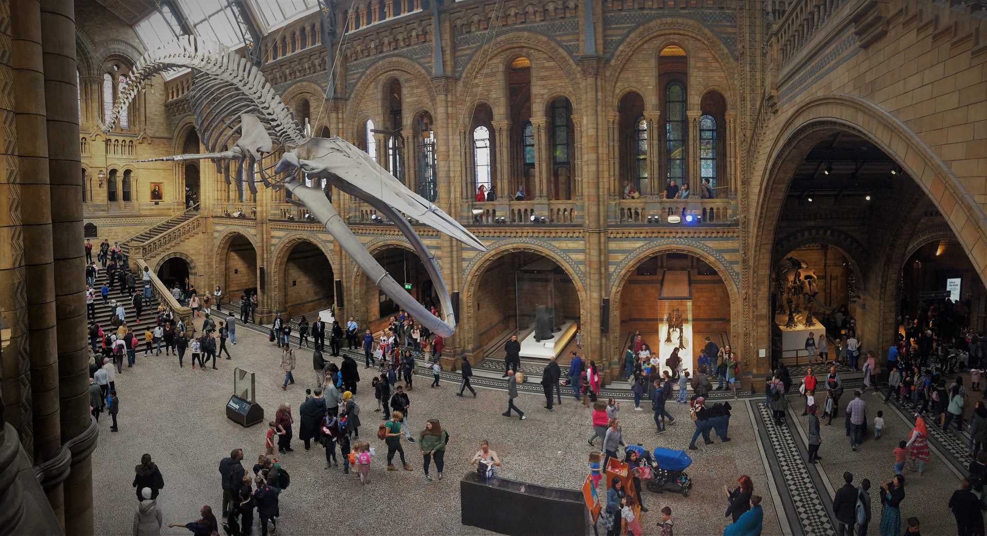 Dino Snores - Que tal passar a noite num museu acompanhado de dinossauros