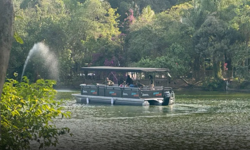 outdoor, árvore, barco, água, transporte, embarcação, veículo, navio, rio, lago, viagem, floresta, tour, natureza