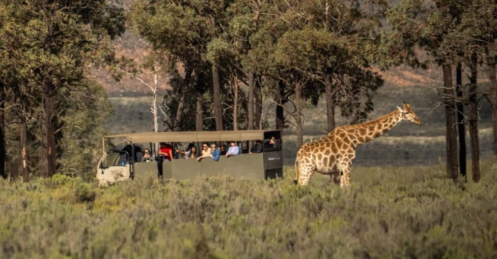 Uber lança nova experiência para turismo na África