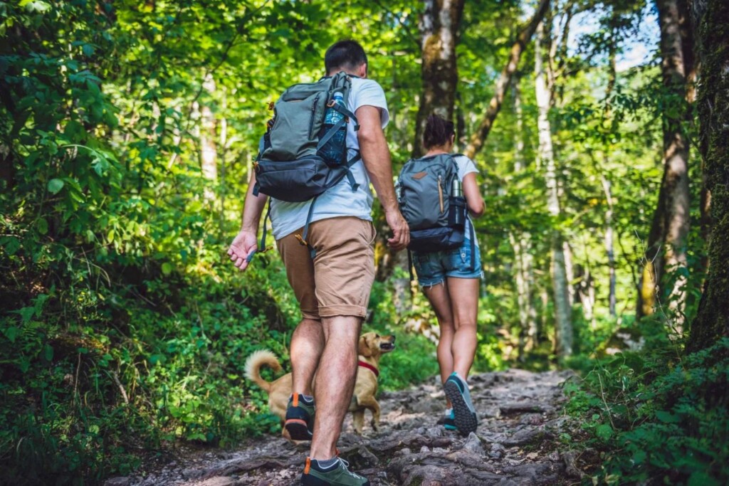 outdoor, árvore, roupas, pessoa, caminhada, calçados, Shorts, planta, selva, Equipamento de caminhada, Lazer ao ar livre, mochila, verão, floresta, grama, madeira, em pé, térreo, pessoas, natureza, caminhar, férias