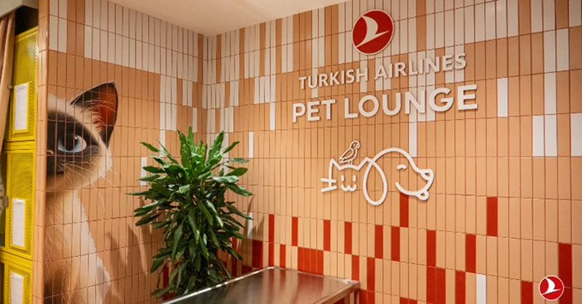 Turkish Airlines inaugura Pet Lounge em Istambul