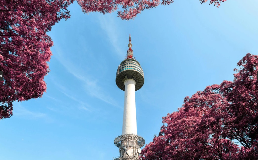 construção, céu, outdoor, árvore, torre, flor