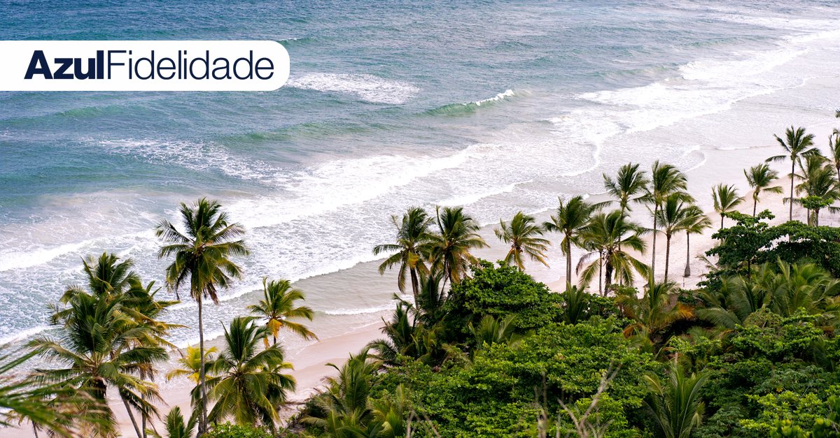 outdoor, planta, palmeira, Trópicos, Arecales, árvore, água, praia, Babaçu, Palmeira-de-óleo, Caribe, oceano, palma, costa, natureza, paisagem, férias