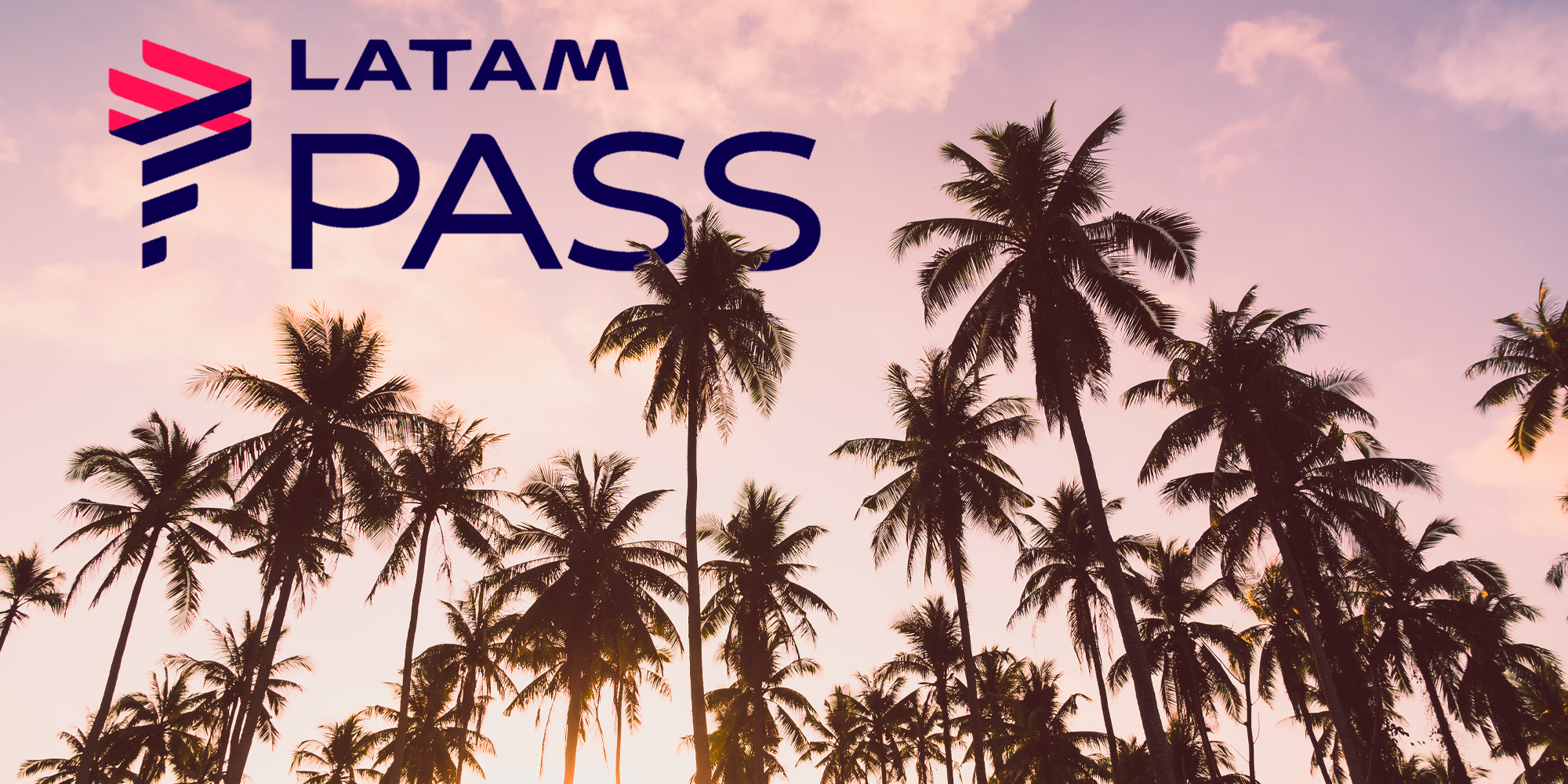 céu, planta, palma, árvore, palmeira, Arecales, nuvem, outdoor, texto, Babaçu, Pessegueiro, Tamareira, Roystonea, Palmeira-de-óleo, Palm do deserto, Borassus flabellifer, Sabal palmetto