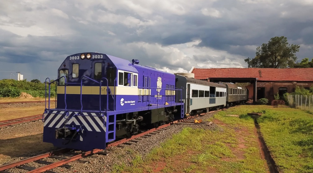 Trem da República promove festa de carnaval temática para curtir a folia