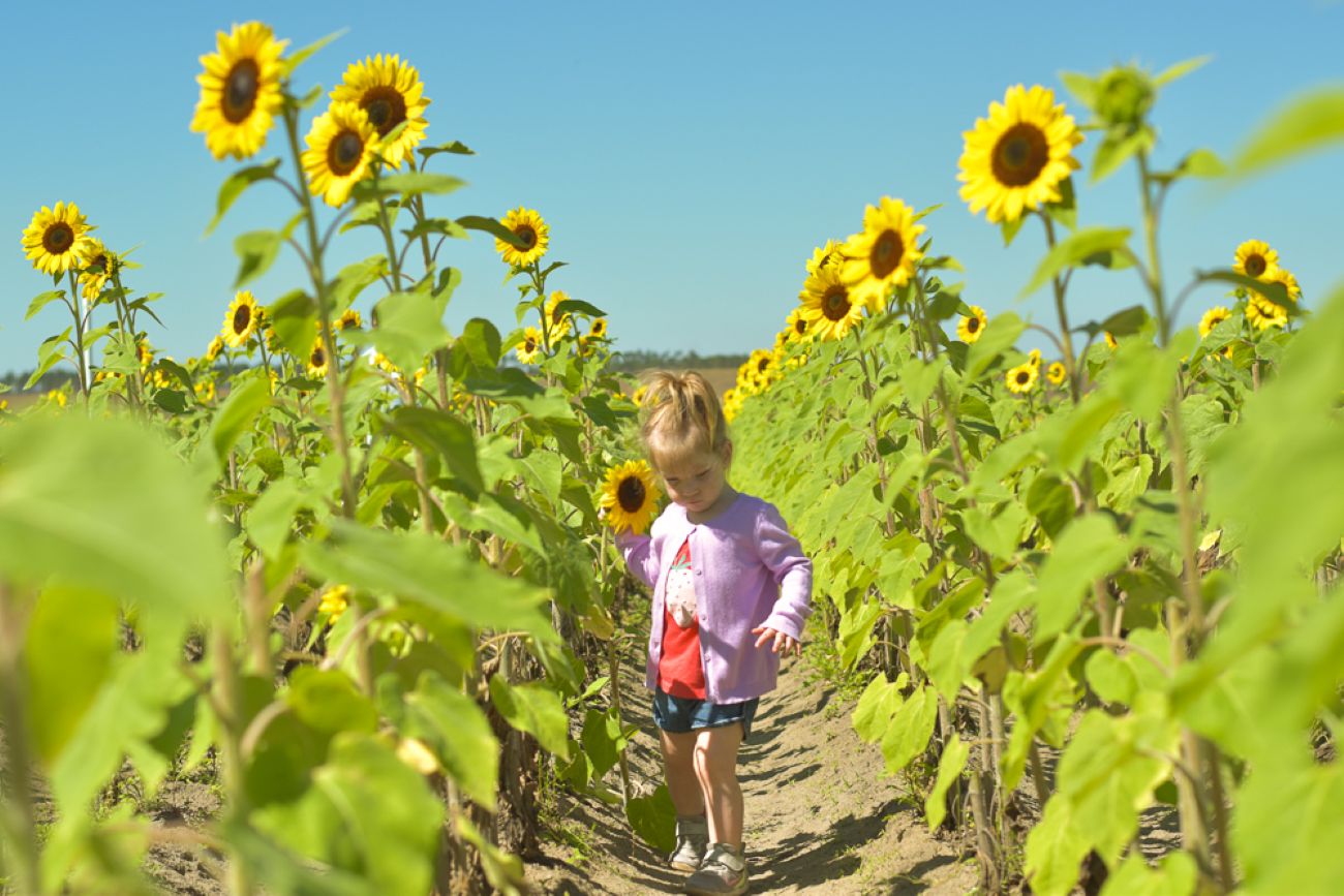 Passeios para se fazer em Miami com crianças
