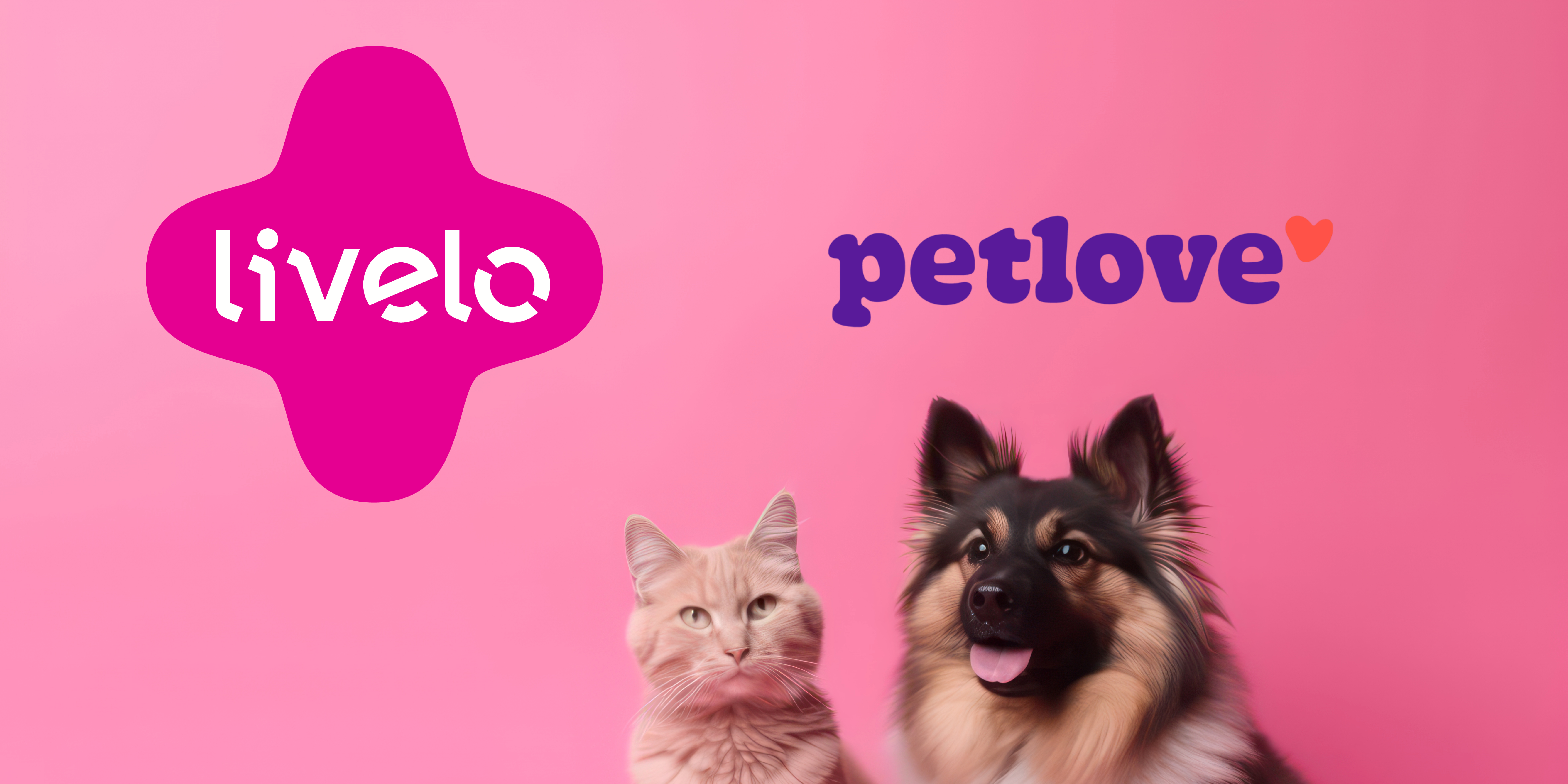 Ocorreu um erro de solicitação inválida.