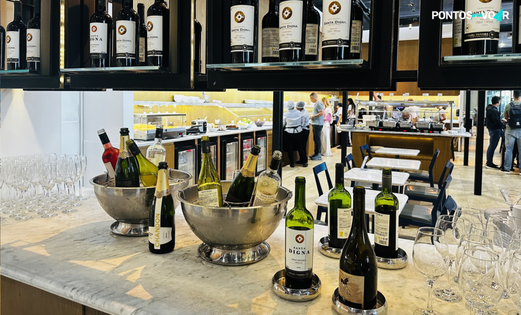 garrafa, bebida, vaso de flores, vinho, Garrafa de vidro, planta doméstica, álcool, interno, térreo, outdoor