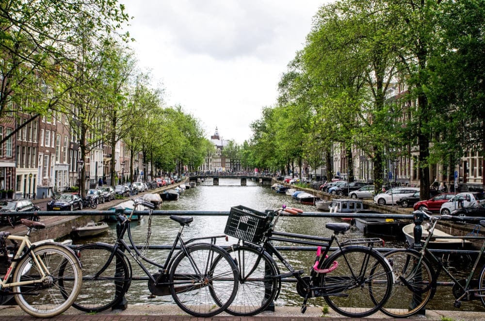 outdoor, roda, Veículo terrestre, veículo, Roda de bicicleta, árvore, bicicleta, céu, Quadro de bicicleta, pneu, ciclismo, Pneu de bicicleta, Bicicletas – equipamento e suprimentos, Guidão de bicicleta, Bicicleta de estrada, Garfo de bicicleta, estacionado, Selim de bicicleta, Bicicleta híbrida, cidade, rua