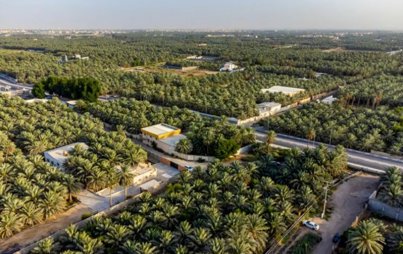 outdoor, Fotografia aérea, Vista aérea, aéreo, árvore, céu, planta, subúrbio, entroncamento, paisagem, Design urbano, Corredor de transporte, grama