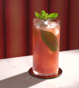 alimento, bebida, coquetel, Guarnição de coquetel, Cubo de gelo, Coquetel clássico, Highball, Bebidas alcoólicas, suco, Utensílios para bebidas, Mai tai, Caipiroska, Copo alto, Canudo para bebidas, efervescer, Soda italiana, Vidro antigo, Refrescos, Bebidas não alcoólicas, Coquetel de vinho, mojito, Planter's punch, Rum swizzle, Brisa do mar, Long island iced tea, Mint julep, limonada, Bay breeze, Bloody mary, Spritz, Cuba libre, Campari, Ti'punch, Red russian, Chá gelado, galgo, Limonada de lima, Woo woo, furacão, Lima-limão, refrigerante, chá, álcool, interno, american airlines