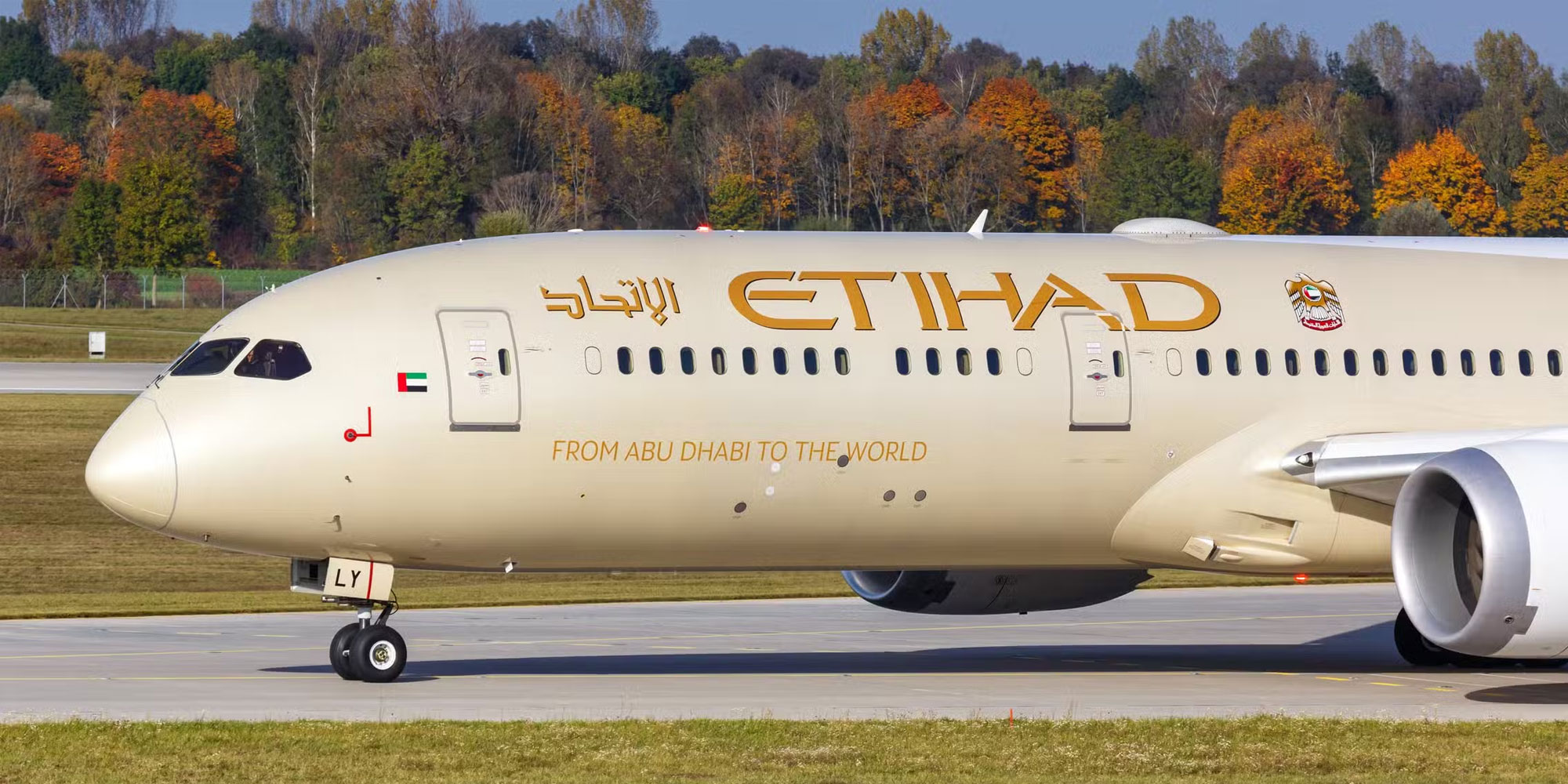 plaina, outdoor, avião, aeronave, transporte, Viagem aérea, avião de passageiros, veículo, Linha aérea, árvore, Motor de jato, passarela, Motor de aeronave, aeroporto, Aeronave de corpo estreito, Serviço, Engenharia aeroespacial, grama, Flap, Jato bimotor, aviação, Jato, jato, grande, airbus, estrada, etihad, boeing, 787, 777x